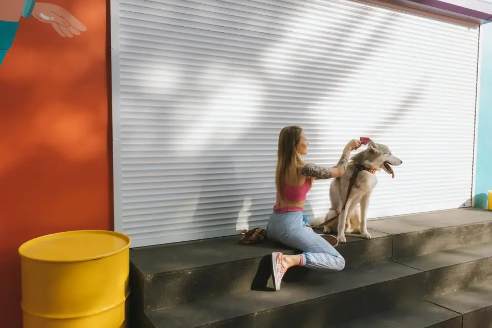 A dog owner hands their dog a soft calming chew treat
