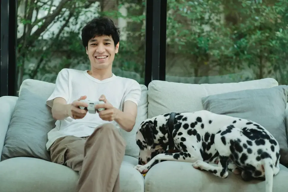 A dog owner scattering treats across a rug for a dog to find