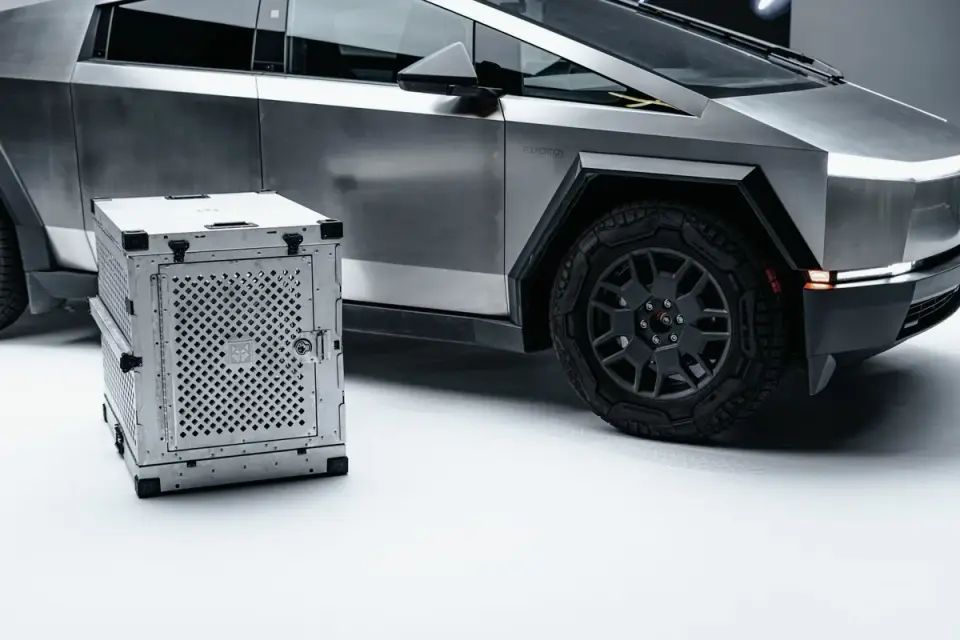 A dog resting inside a secured travel crate on the back seat of a car
