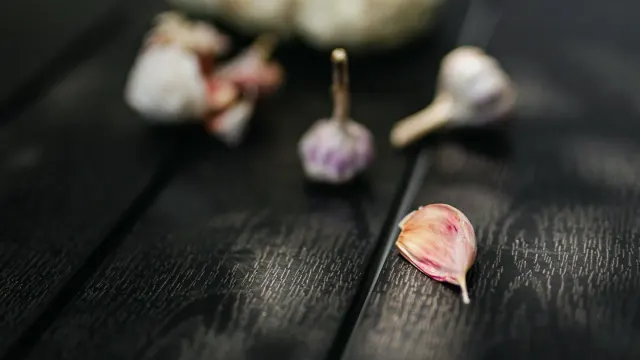 A dog sniffing at garlic cloves left on a kitchen counter