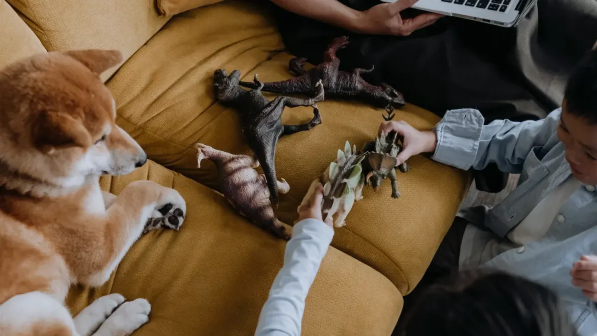A dog sniffing at a small handful of toys spread on a rug