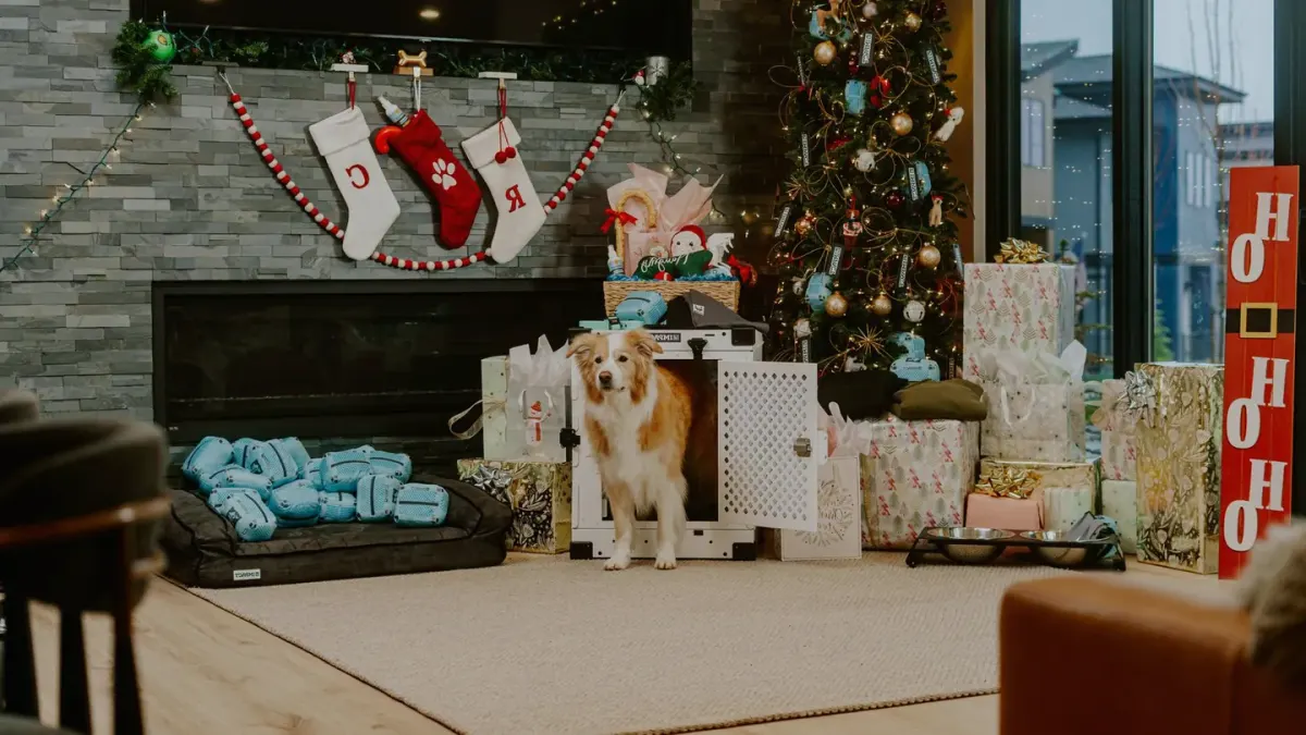 A golden retriever puppy sitting in an open crate, looking toward the camera