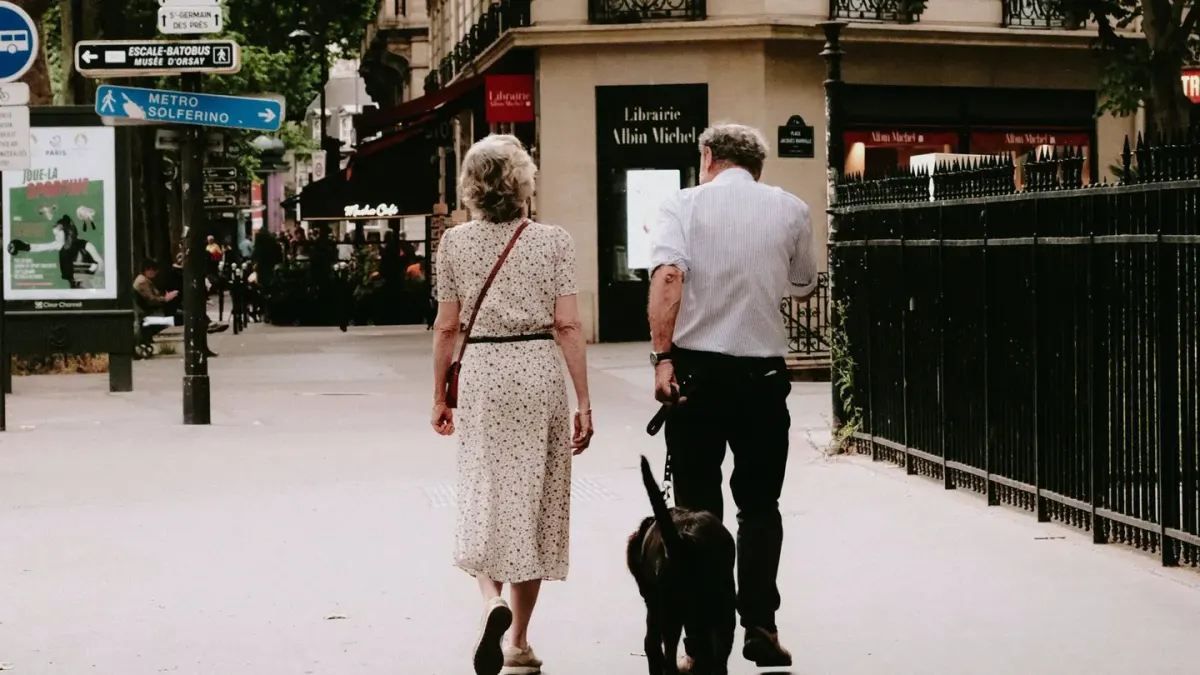 A middle-aged dog walking briskly across a park path
