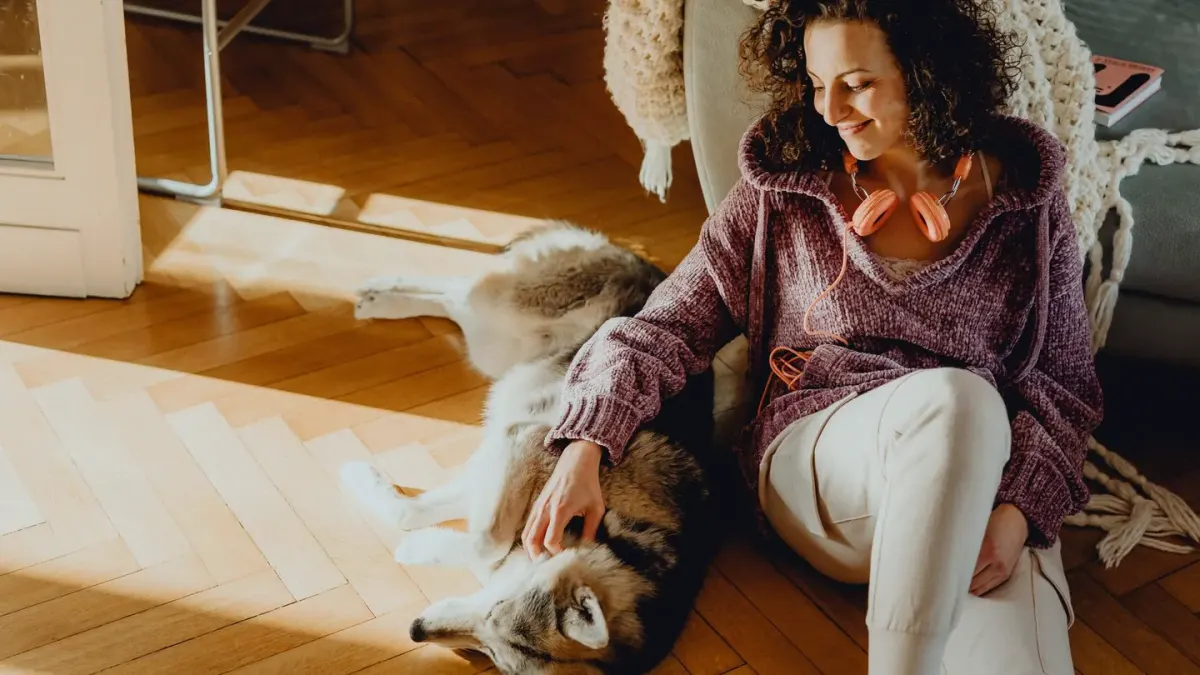 A senior dog resting on a living room floor with its hind legs tucked beneath it while an owner kneels nearby