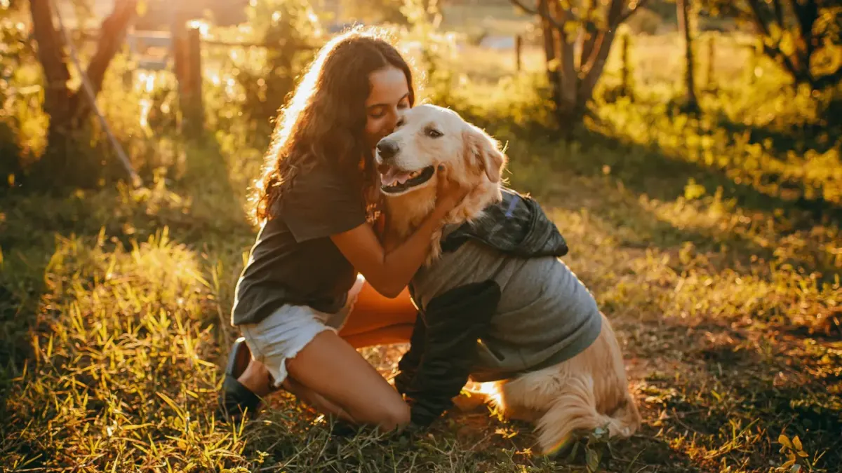 A senior golden retriever sitting beside its owner, who is reading a supplement label at the kitchen counter
