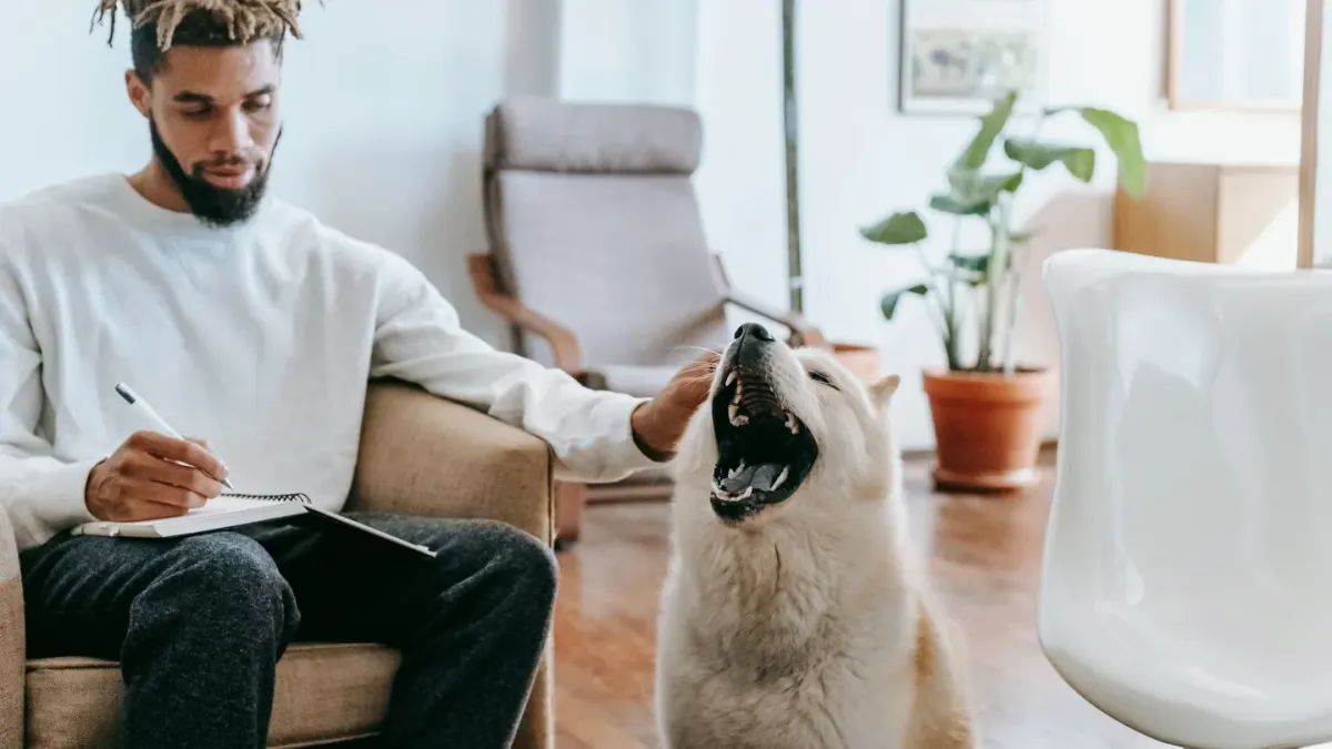A veterinarian and dog owner reading a supplement label together at a clinic counter