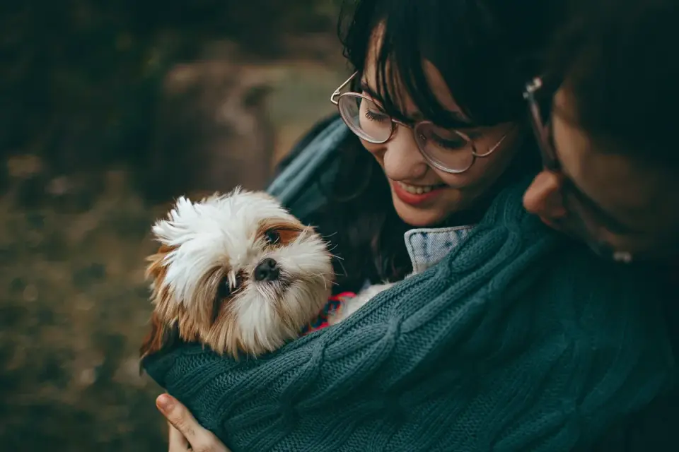 A veterinarian and dog owner reviewing a supplement label together