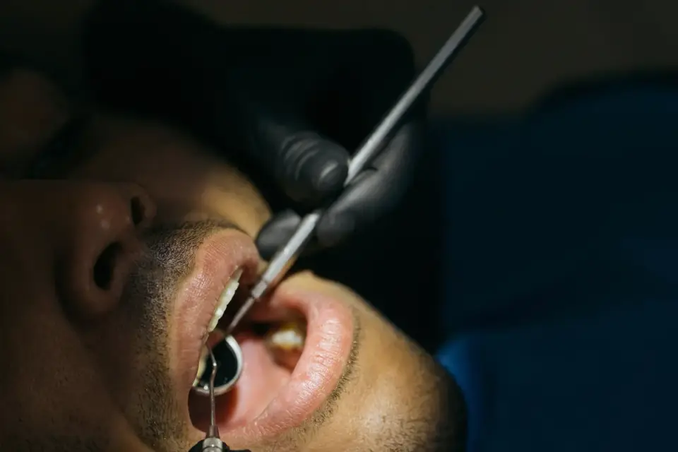 A veterinarian checking a dog&#x27;s teeth during a routine exam