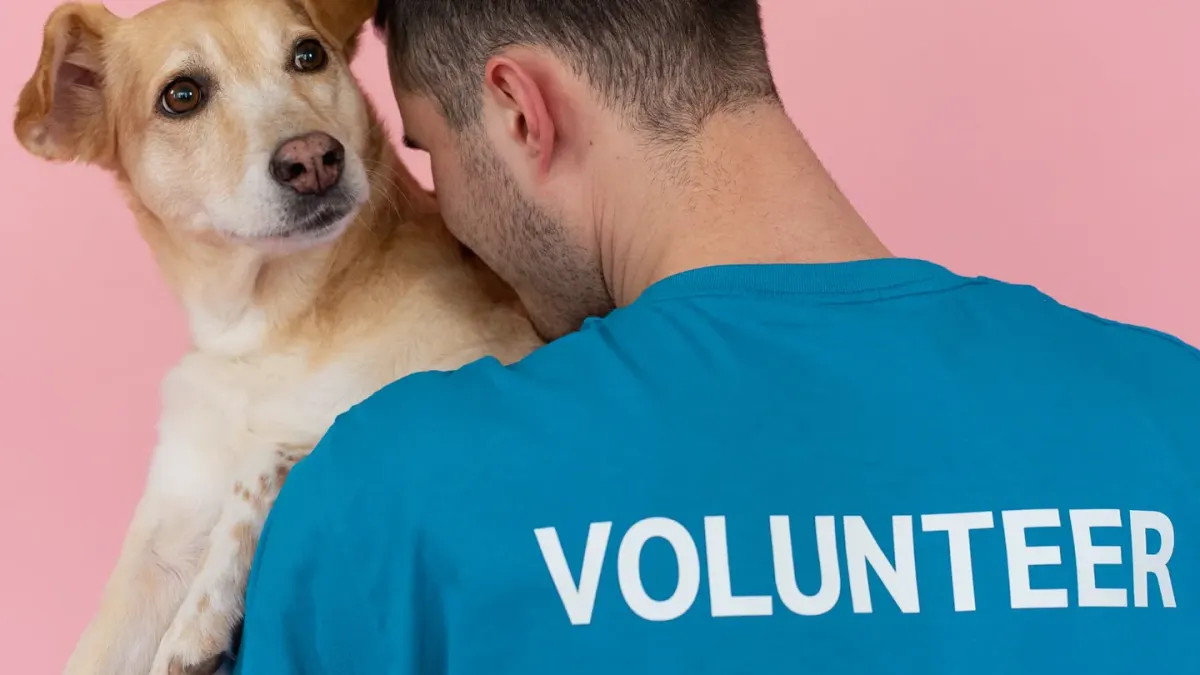 A volunteer sitting on the floor of a shelter kennel run with a dog resting calmly beside them