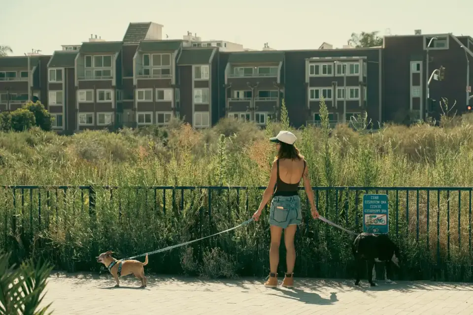 An owner rewarding a leashed dog with a treat on a quiet street away from other dogs