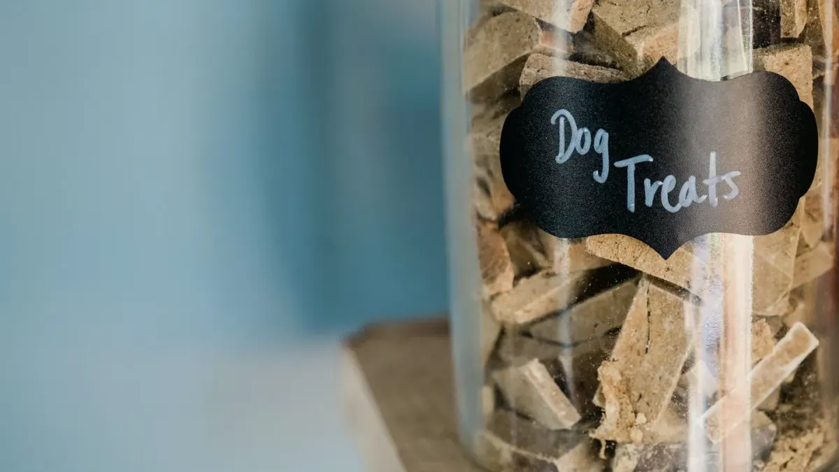 An owner turning a dog food bag over to read the guaranteed analysis panel