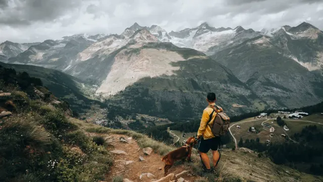Dog and hiker walking together on a rocky mountain trail