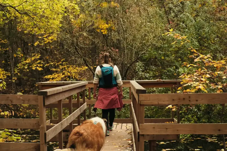 Dog and hiker walking together on a rocky mountain trail