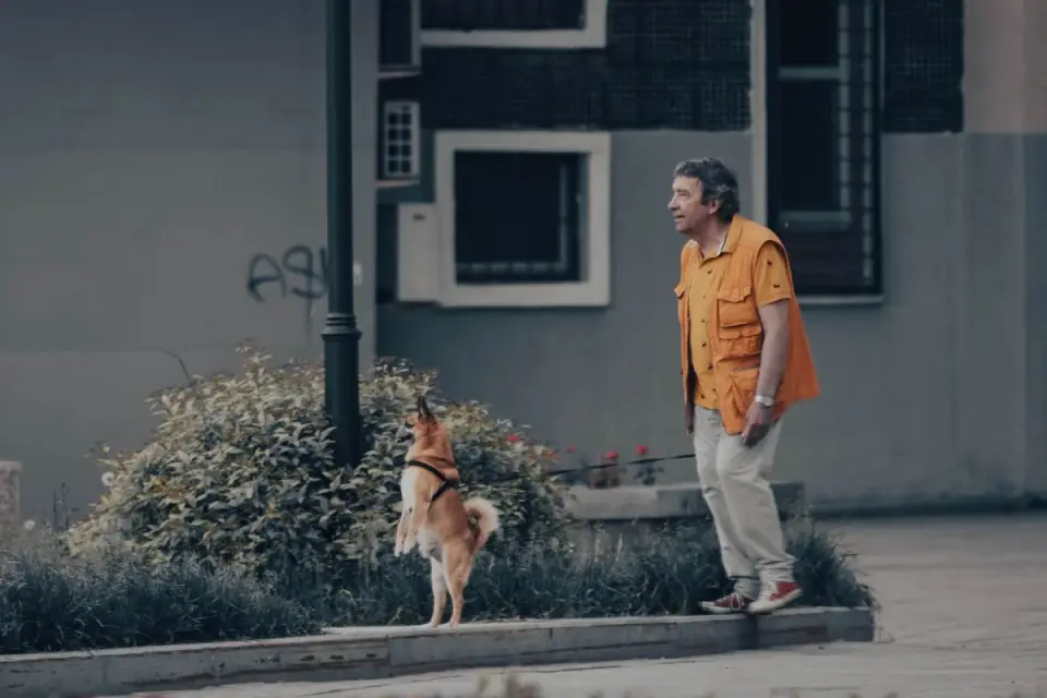 Dog and owner together