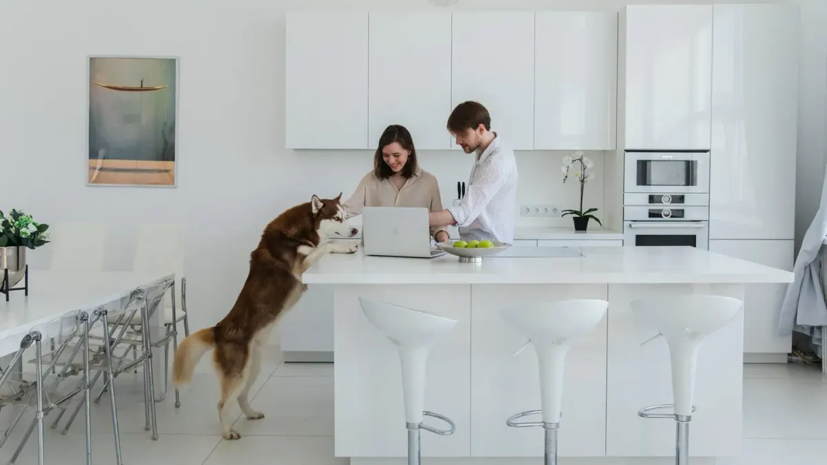 Dog at home near a kitchen