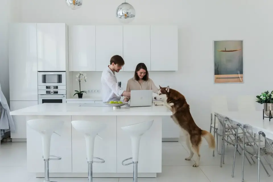Dog at home near a kitchen