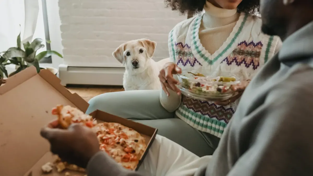 Dog eating from a bowl at home
