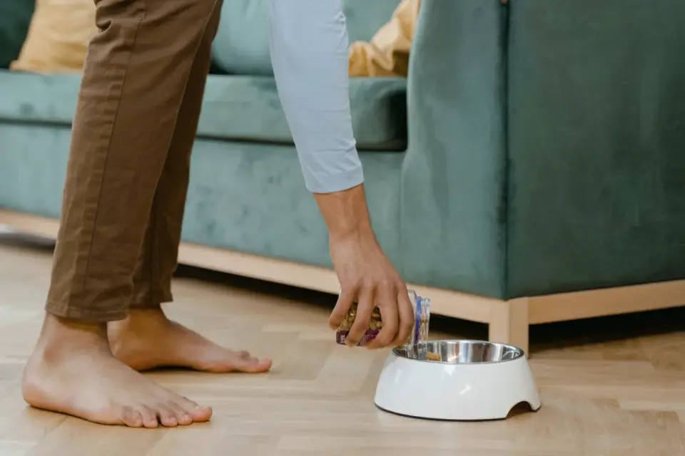 Dog eating from a bowl at home