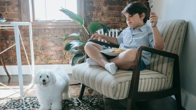 Dog eating from a bowl