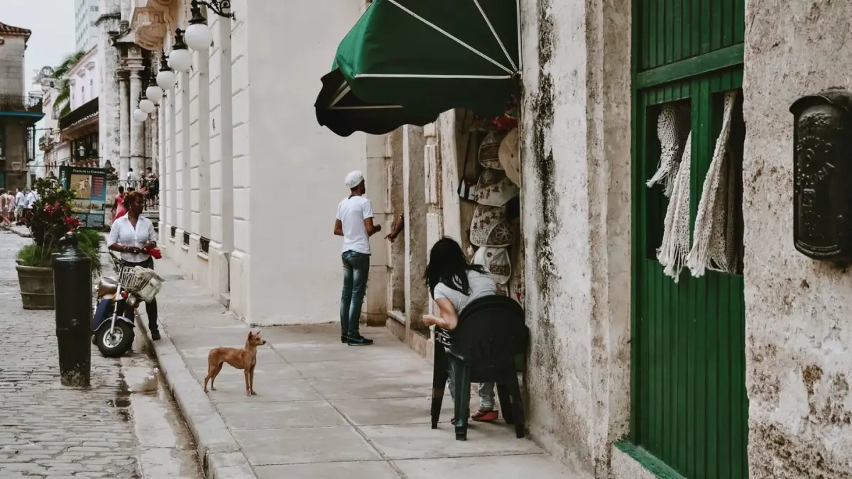 Dog greeting an owner