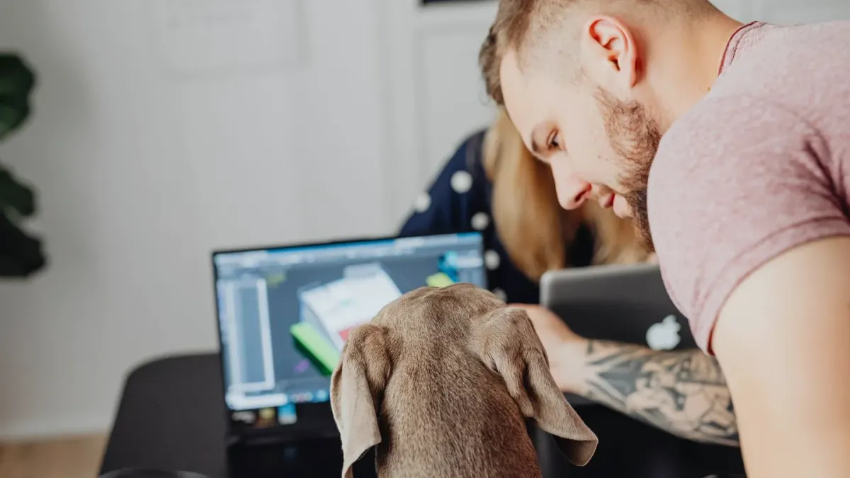 Dog in kitchen with owner