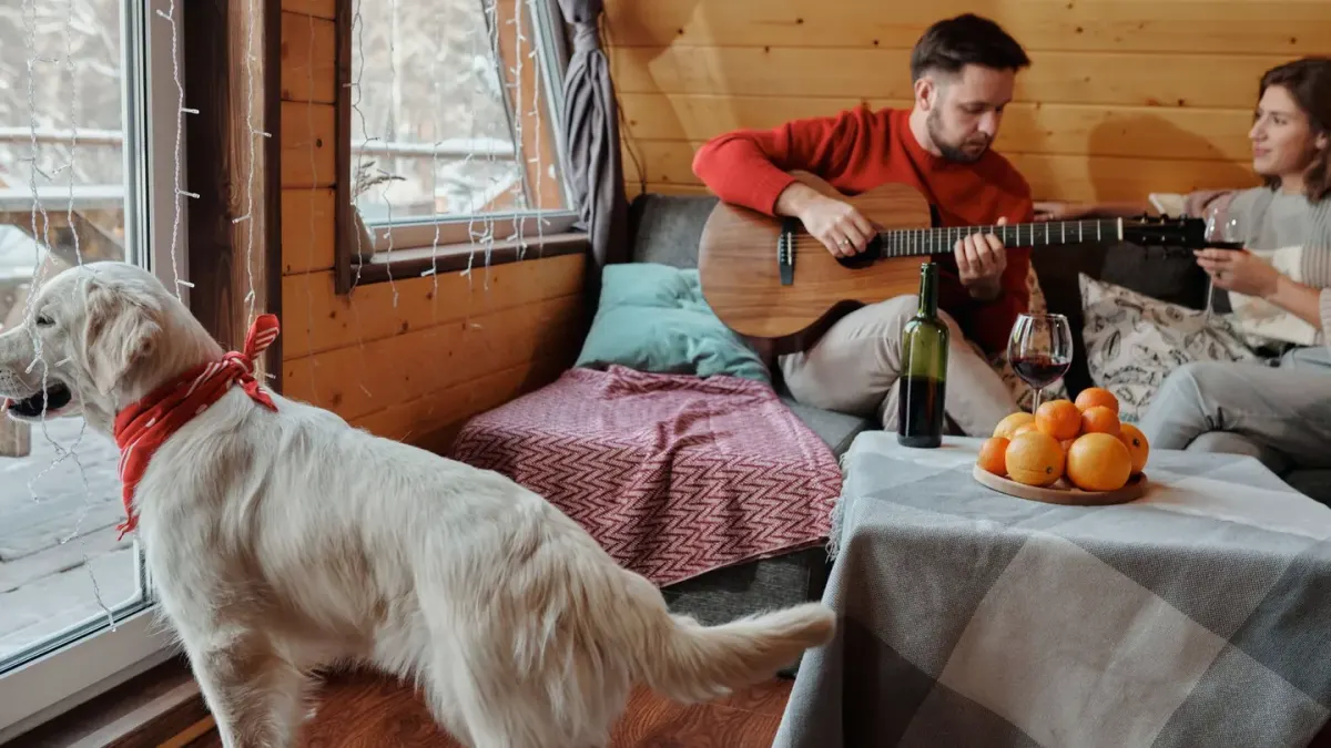 Dog near a fireplace