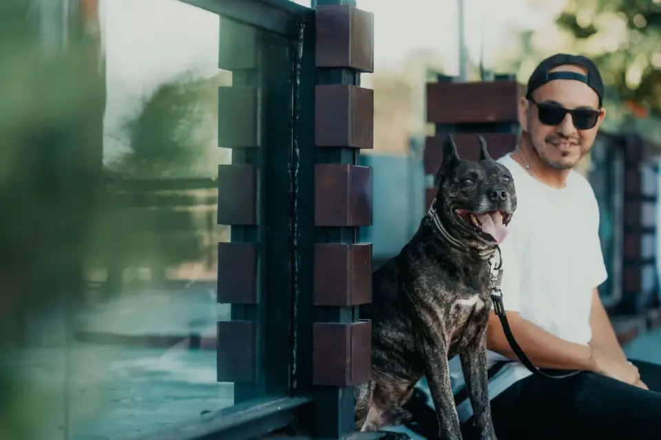 Dog owner at home