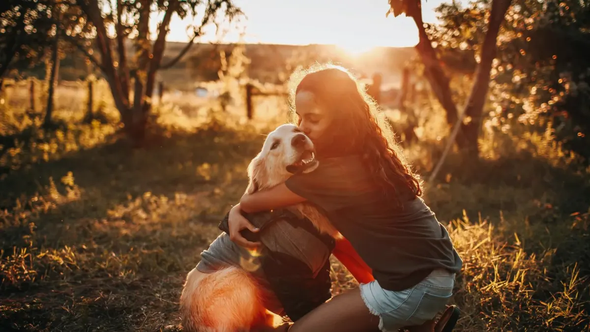 Dog owner comforting dog home