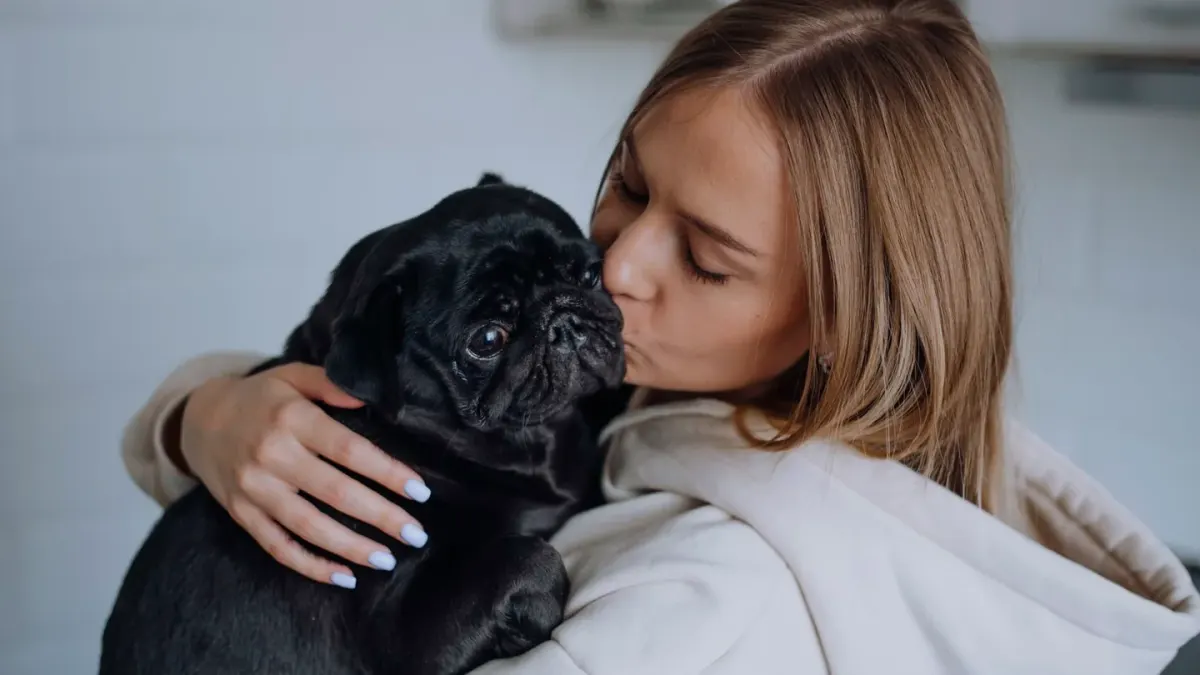 Dog owner preparing dog food kitchen