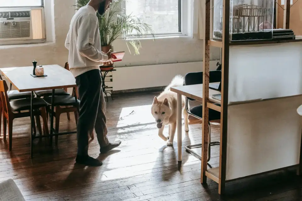 Dog owner reading a supplement label in the kitchen