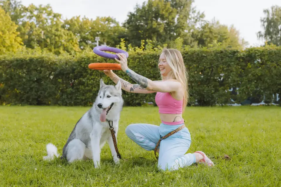 Dog playing with a rope toy