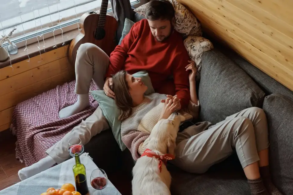 Dog sleeping at home