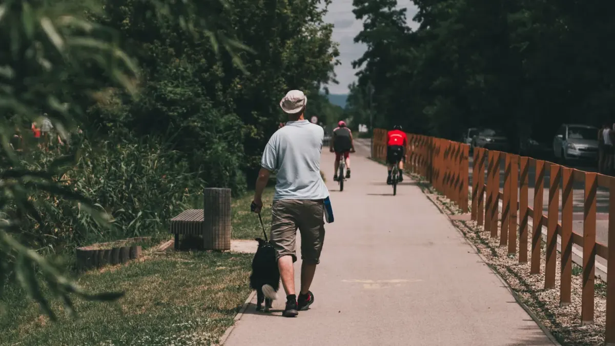 Dog walking outdoors