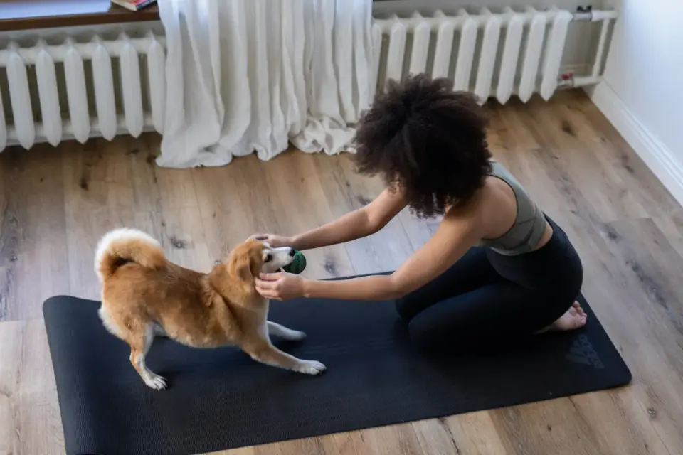 Dog with an owner at home