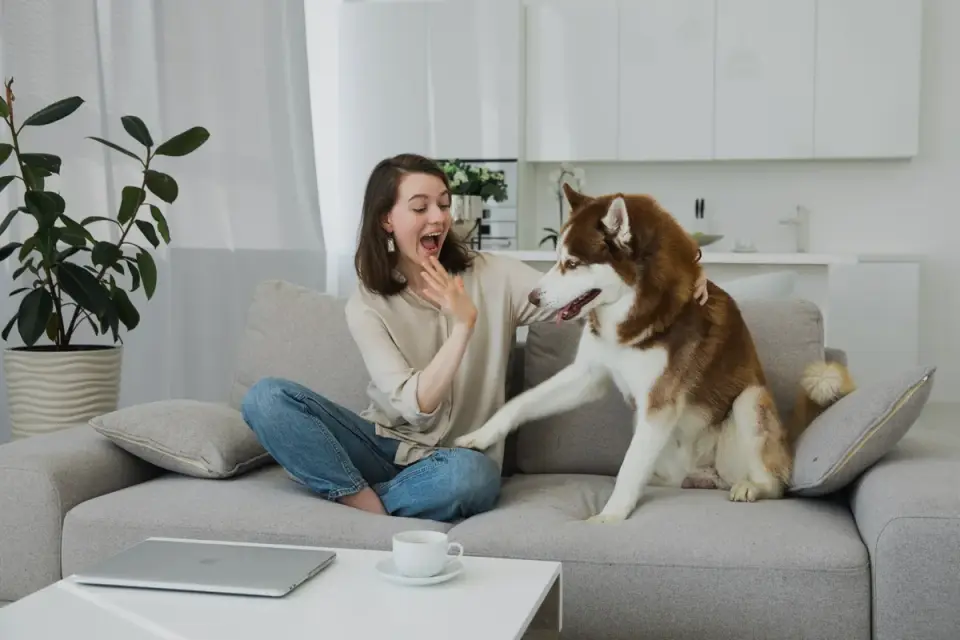 Dog with an owner at home