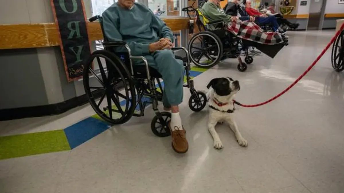 Dog with an owner at home