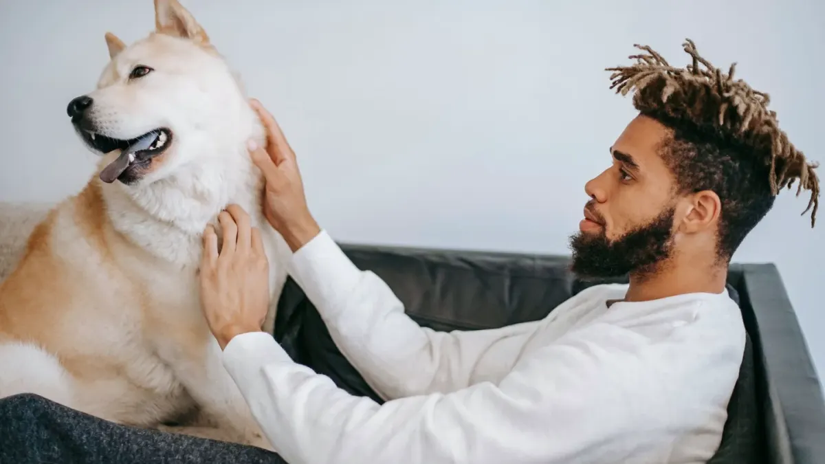 Dog with an owner at home