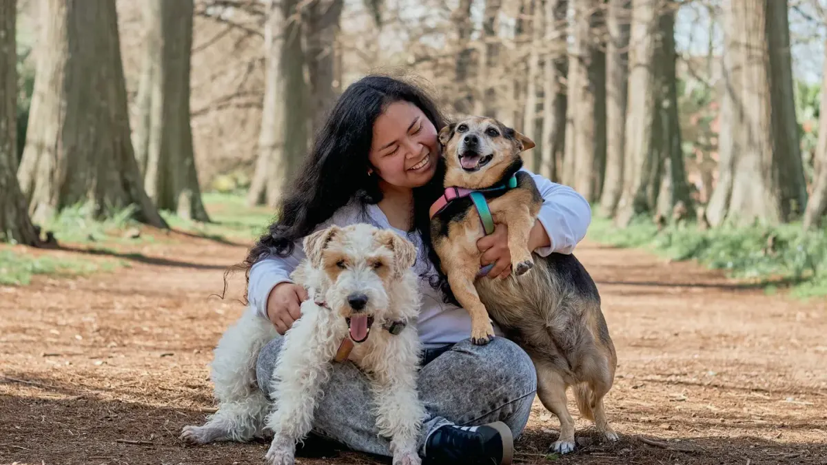 Older dog with an owner in a park