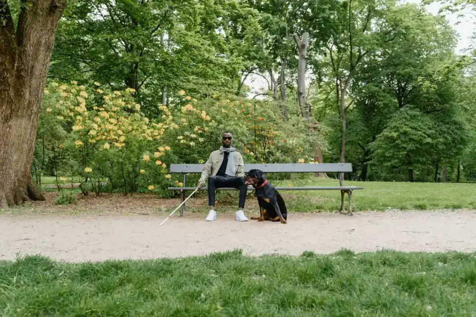 Older dog with an owner in a park