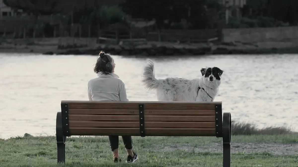 Older dog with an owner in a park