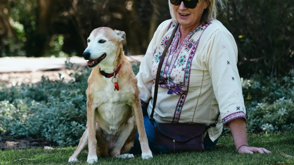 Older dog with an owner in a park