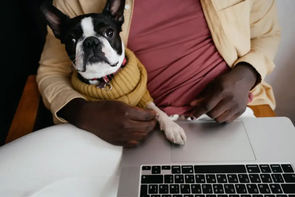 Owner reading the ingredient panel on a dog supplement bottle