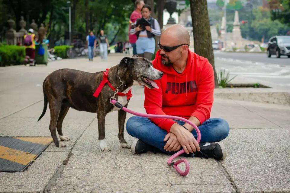 Owner rewarding a leashed dog with a treat while keeping distance from a passing trigger