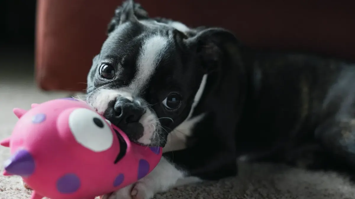 Puppy lying on a kitchen floor gnawing a frozen textured toy