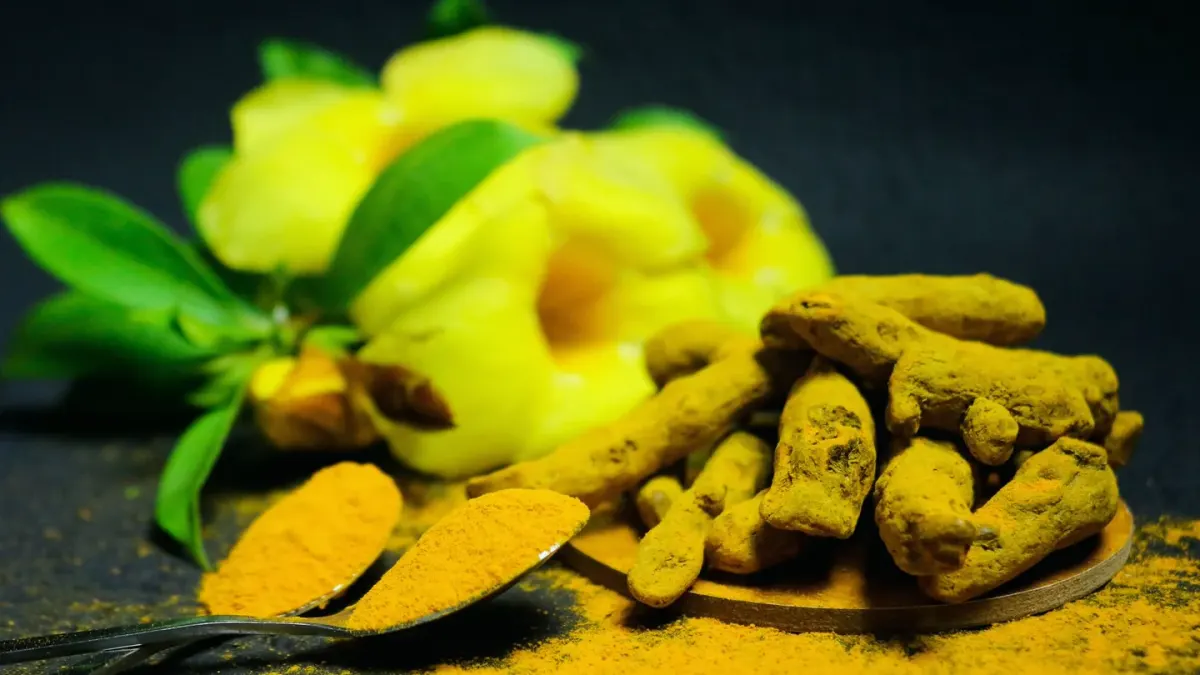 Turmeric root and boswellia resin arranged near a senior dog's front paw